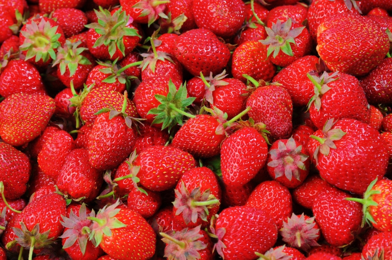 primeur-ST MANDRIER SUR MER-min_strawberries-528791